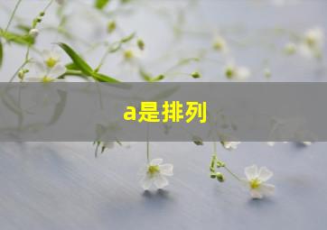 a是排列