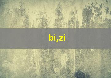 bi,zi