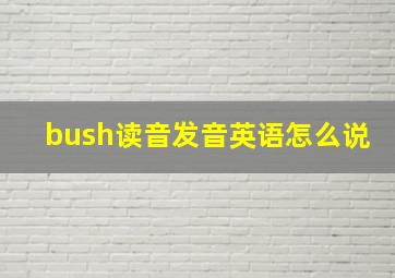 bush读音发音英语怎么说