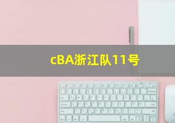 cBA浙江队11号