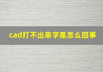 cad打不出来字是怎么回事