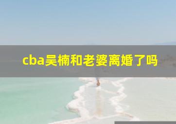 cba吴楠和老婆离婚了吗