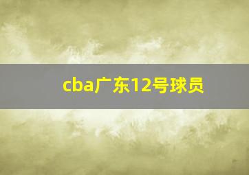 cba广东12号球员