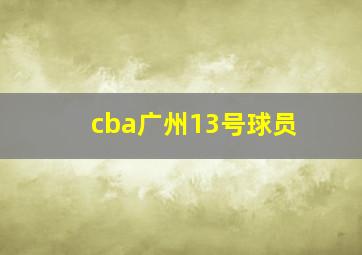 cba广州13号球员