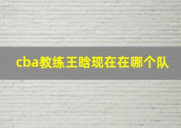 cba教练王晗现在在哪个队