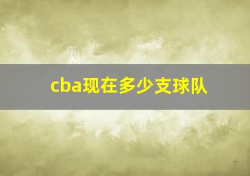 cba现在多少支球队