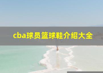 cba球员篮球鞋介绍大全