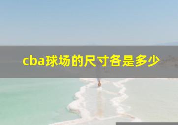 cba球场的尺寸各是多少