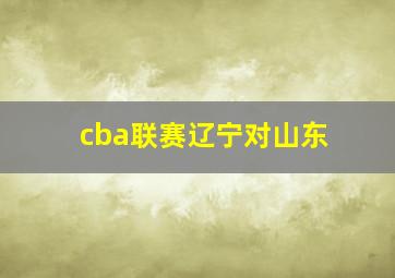 cba联赛辽宁对山东