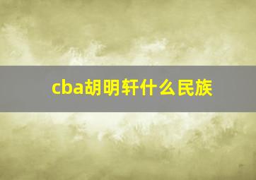 cba胡明轩什么民族