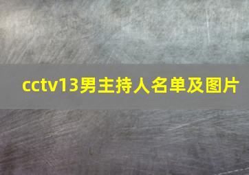 cctv13男主持人名单及图片