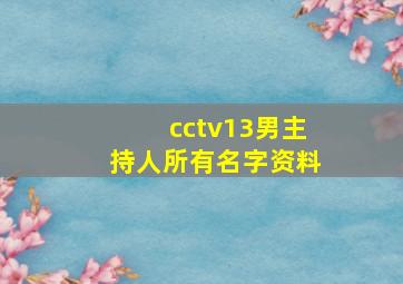 cctv13男主持人所有名字资料