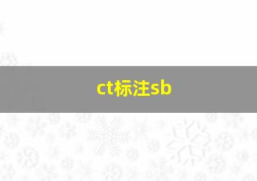 ct标注sb