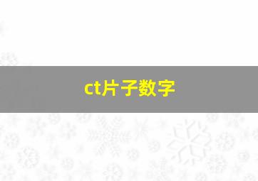 ct片子数字