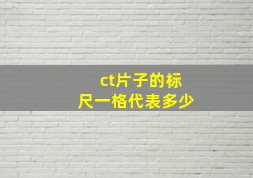 ct片子的标尺一格代表多少