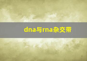 dna与rna杂交带