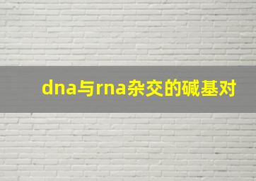 dna与rna杂交的碱基对