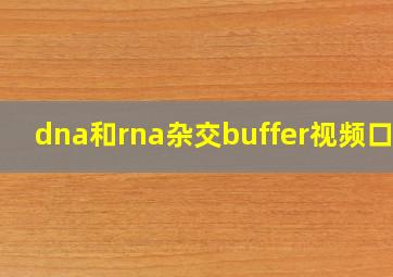 dna和rna杂交buffer视频口诀