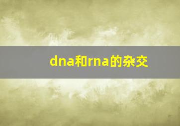 dna和rna的杂交