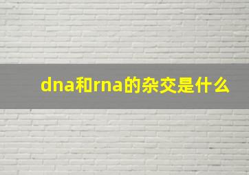 dna和rna的杂交是什么