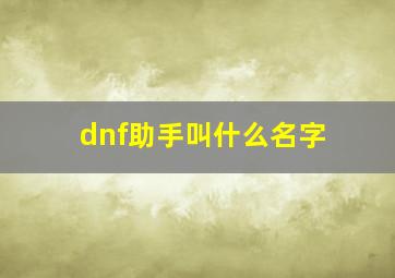 dnf助手叫什么名字