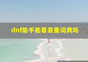 dnf助手能看装备词典吗