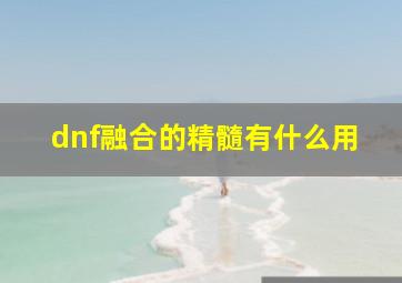 dnf融合的精髓有什么用