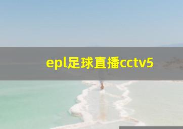 epl足球直播cctv5