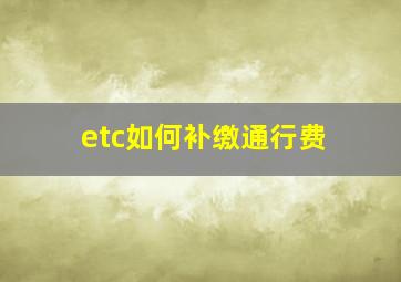 etc如何补缴通行费