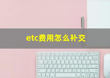 etc费用怎么补交