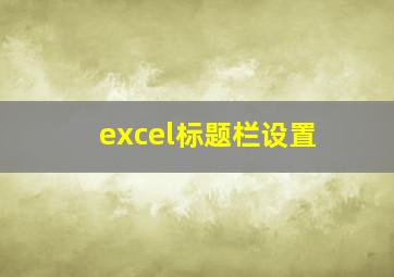 excel标题栏设置