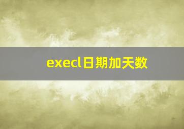 execl日期加天数