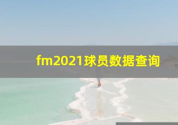 fm2021球员数据查询