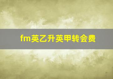 fm英乙升英甲转会费