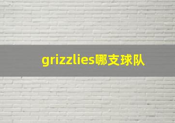 grizzlies哪支球队