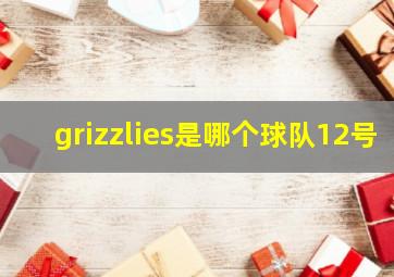 grizzlies是哪个球队12号