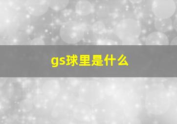 gs球里是什么