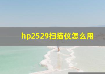 hp2529扫描仪怎么用