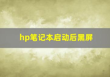 hp笔记本启动后黑屏