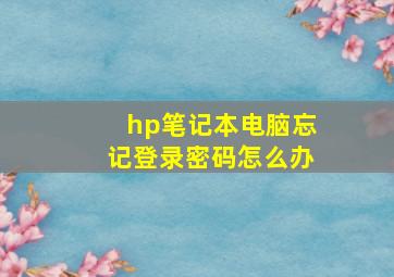 hp笔记本电脑忘记登录密码怎么办