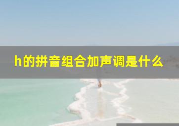 h的拼音组合加声调是什么