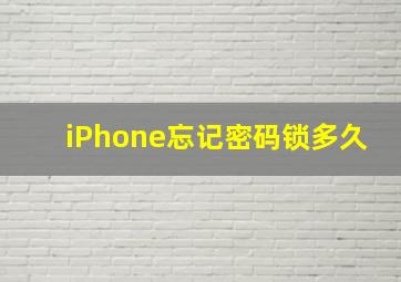 iPhone忘记密码锁多久