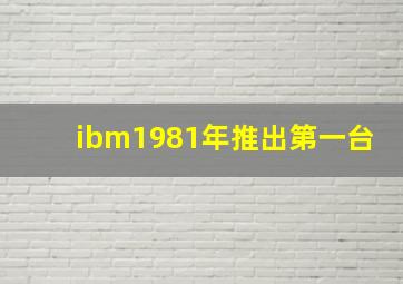 ibm1981年推出第一台