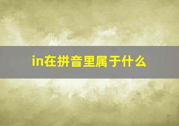 in在拼音里属于什么