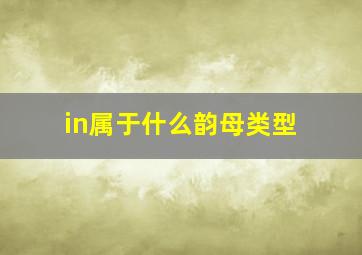 in属于什么韵母类型