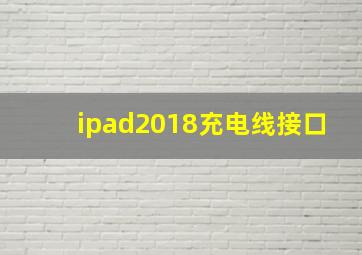 ipad2018充电线接口