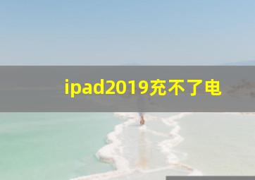 ipad2019充不了电