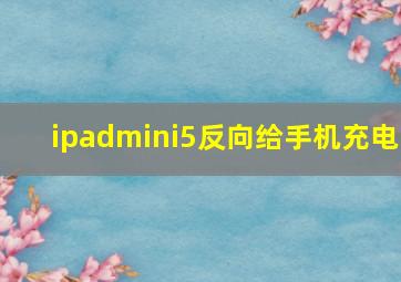 ipadmini5反向给手机充电