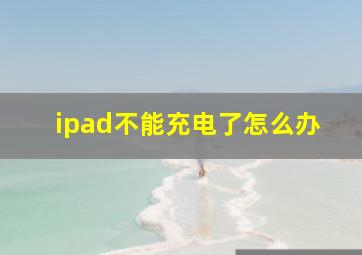 ipad不能充电了怎么办