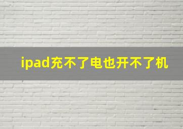 ipad充不了电也开不了机